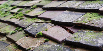 Great Totham roof repair costs